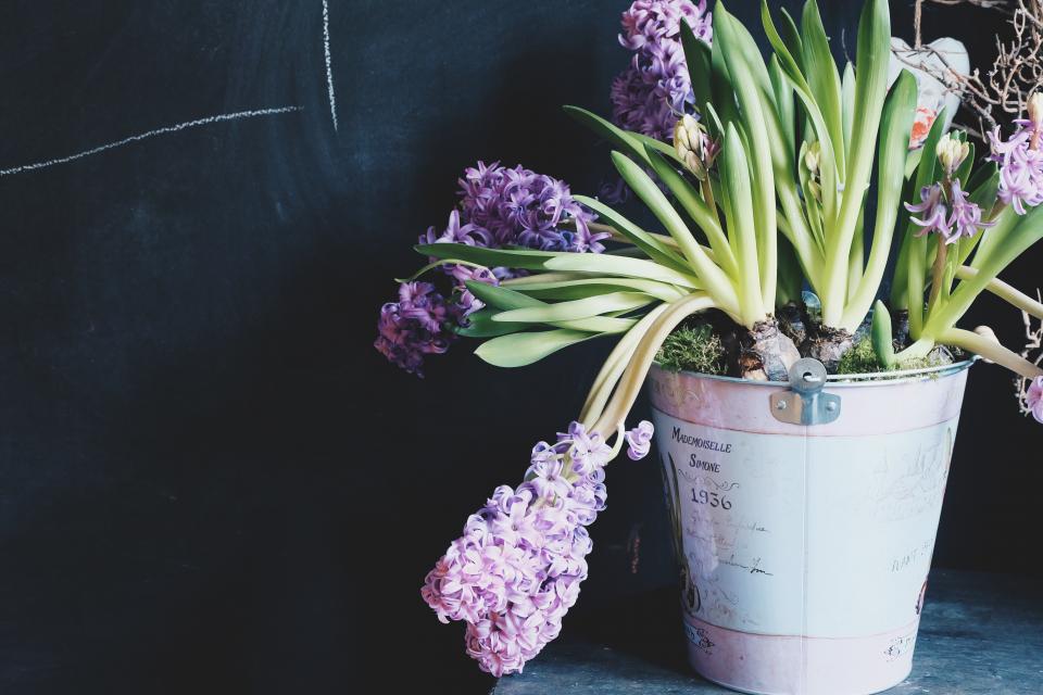 Is The Key Under The Flower Pot?